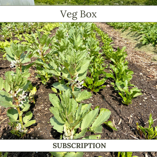 Local and Seasonal Veg Box - SUBSCRIPTION
