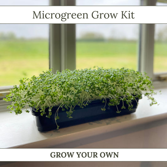 Microgreen Grow Kits
