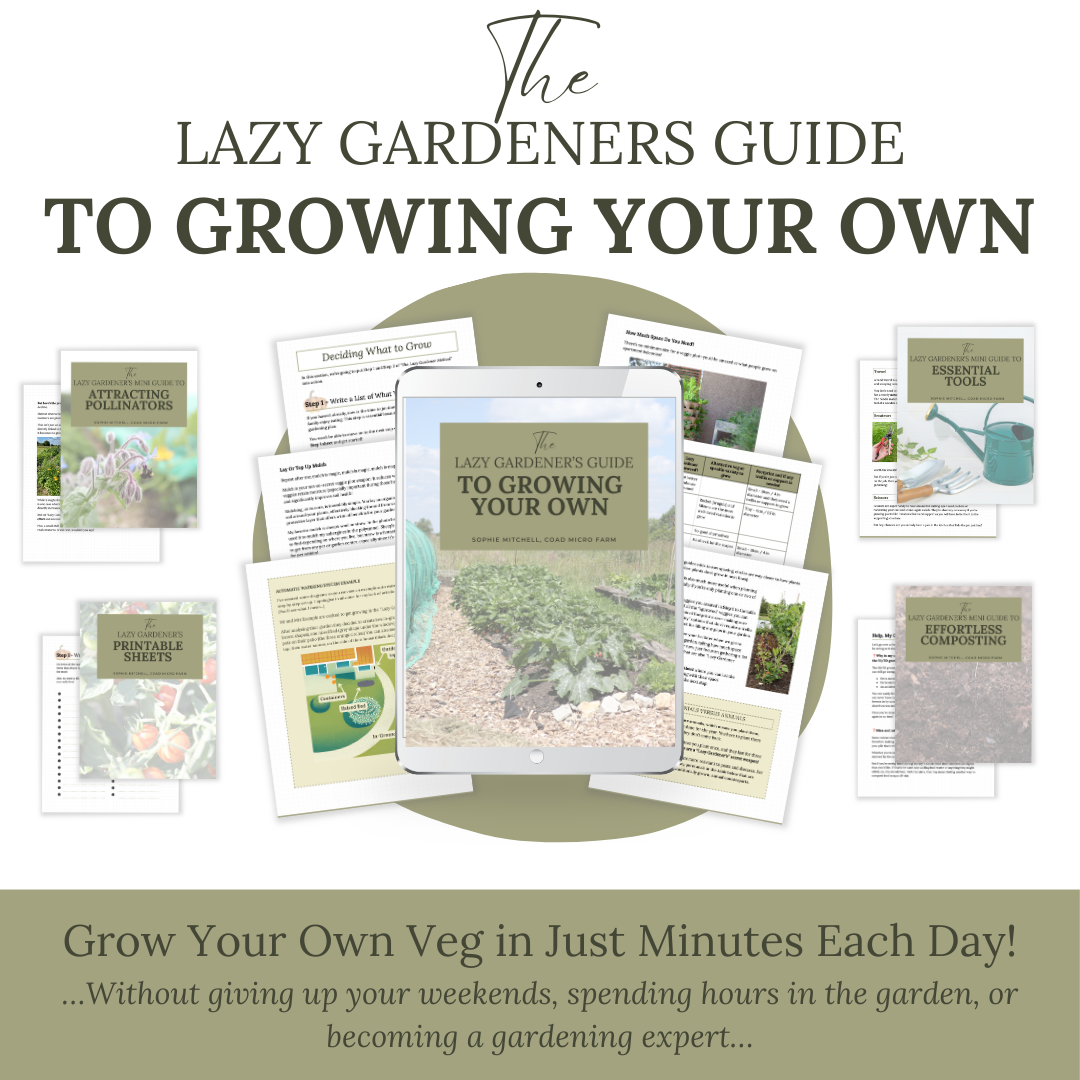 The Lazy Gardener's Guide to Growing Your Own