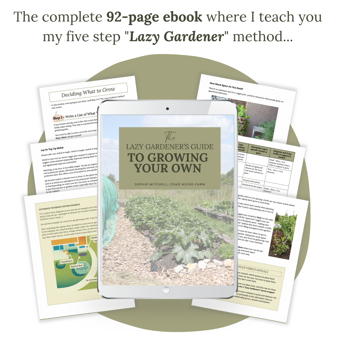 The Lazy Gardener's Guide to Growing Your Own