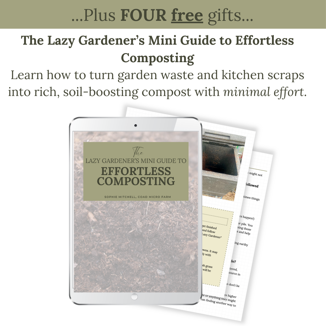 The Lazy Gardener's Guide to Growing Your Own