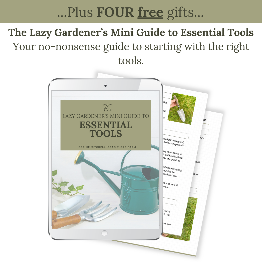 The Lazy Gardener's Guide to Growing Your Own