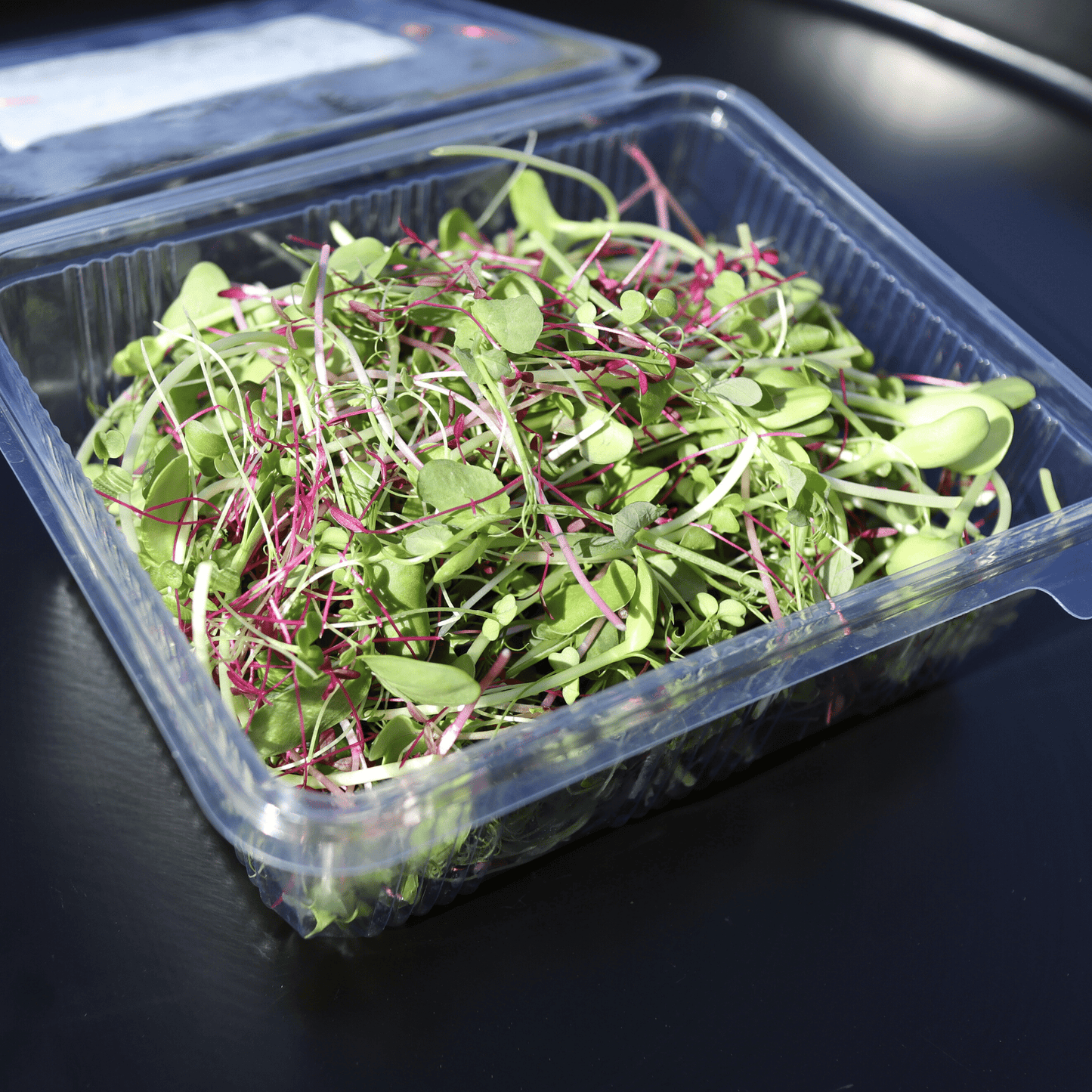 Perfect Everyday Micro Salad Mix - SUBSCRIPTION