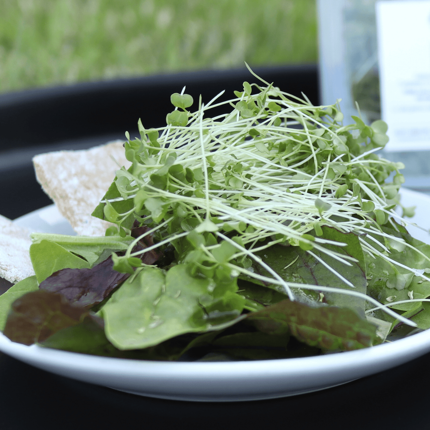 Broccoli Shoots - SUBSCRIPTION