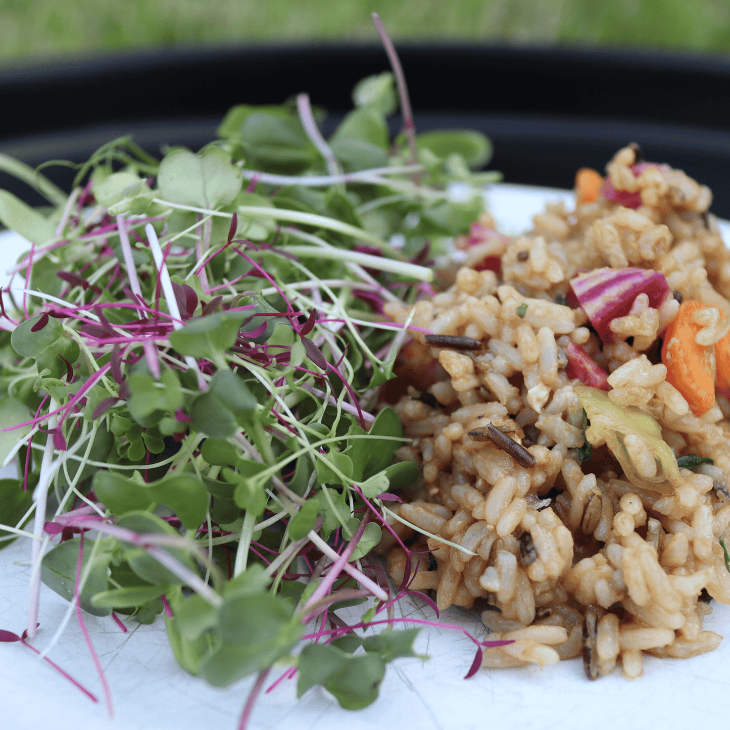 Perfect Everyday Micro Salad Mix - SUBSCRIPTION