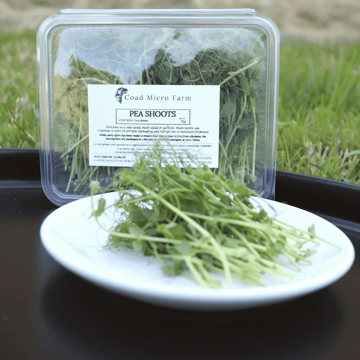 Pea Shoots - ONE-OFF PURCHASE