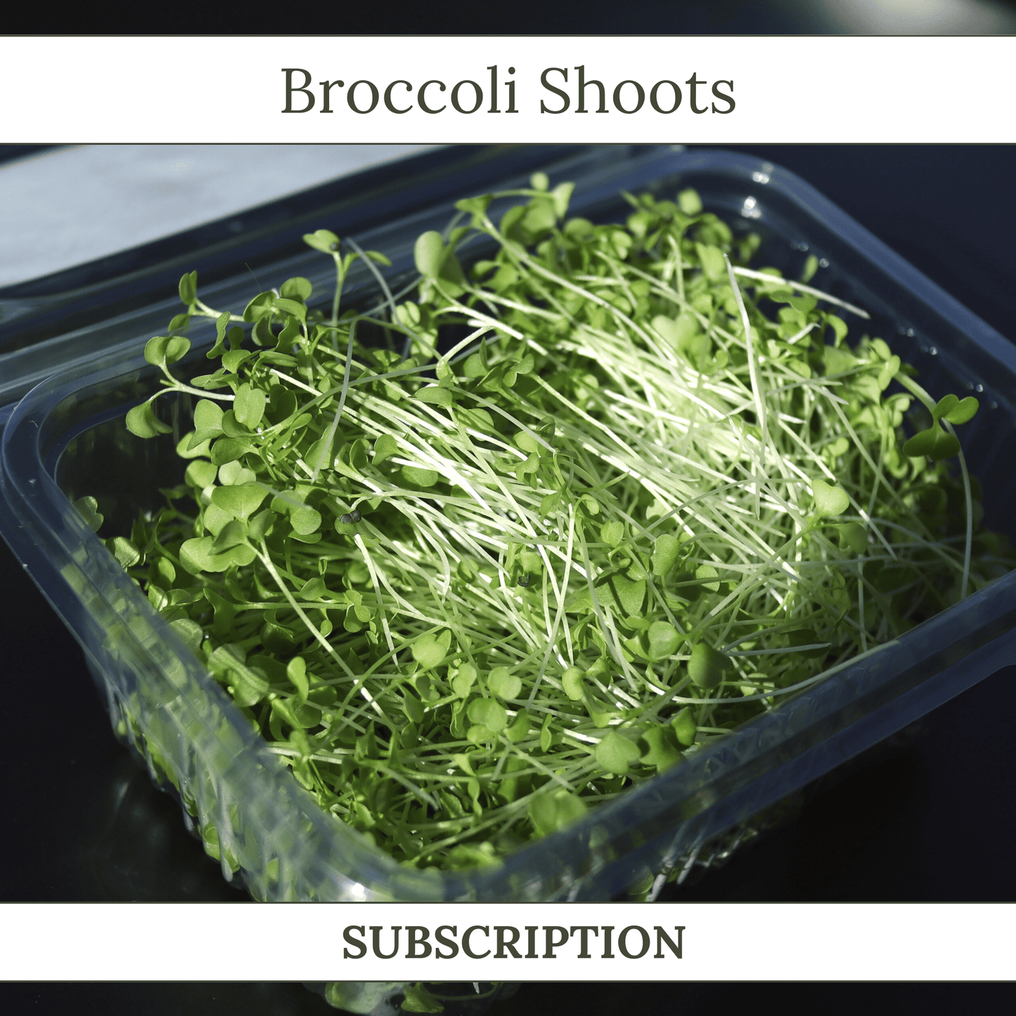 Broccoli Shoots - SUBSCRIPTION