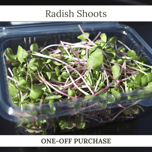 Radish Shoots - ONE-OFF PURCHASE