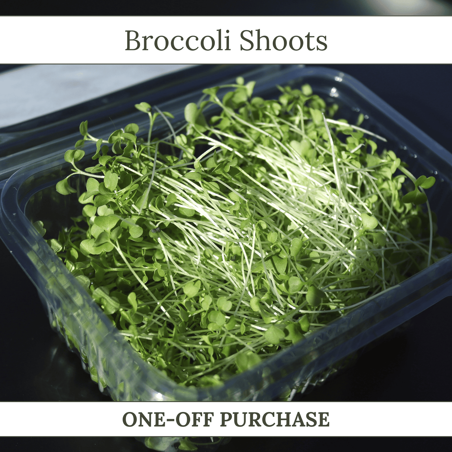Broccoli Shoots - ONE-OFF PURCHASE
