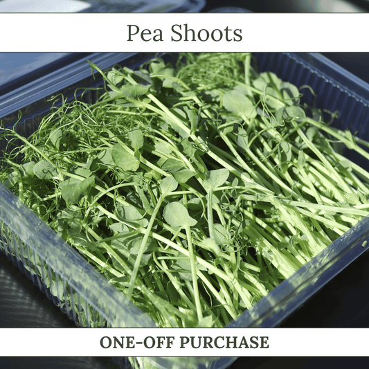 Pea Shoots - ONE-OFF PURCHASE