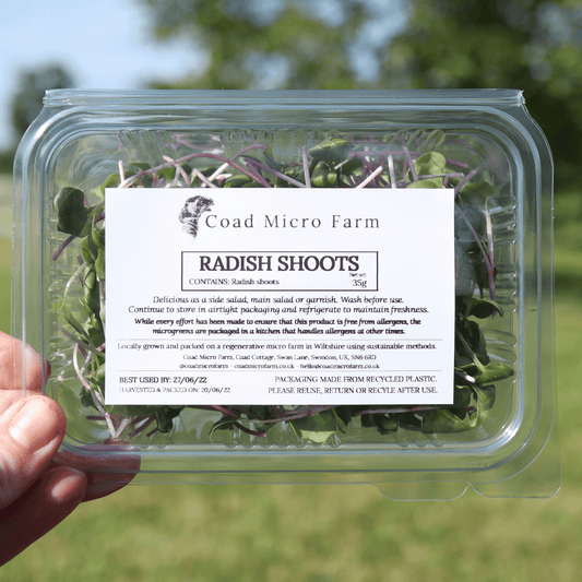 Radish Shoots - SUBSCRIPTION