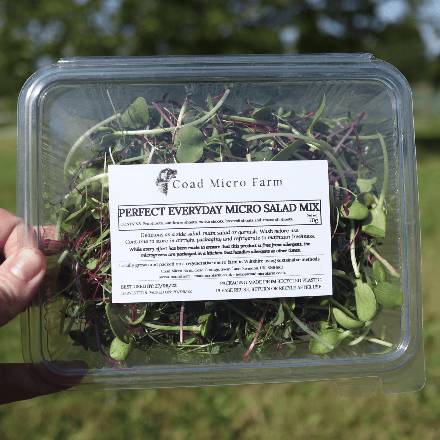 Perfect Everyday Micro Salad Mix - SUBSCRIPTION