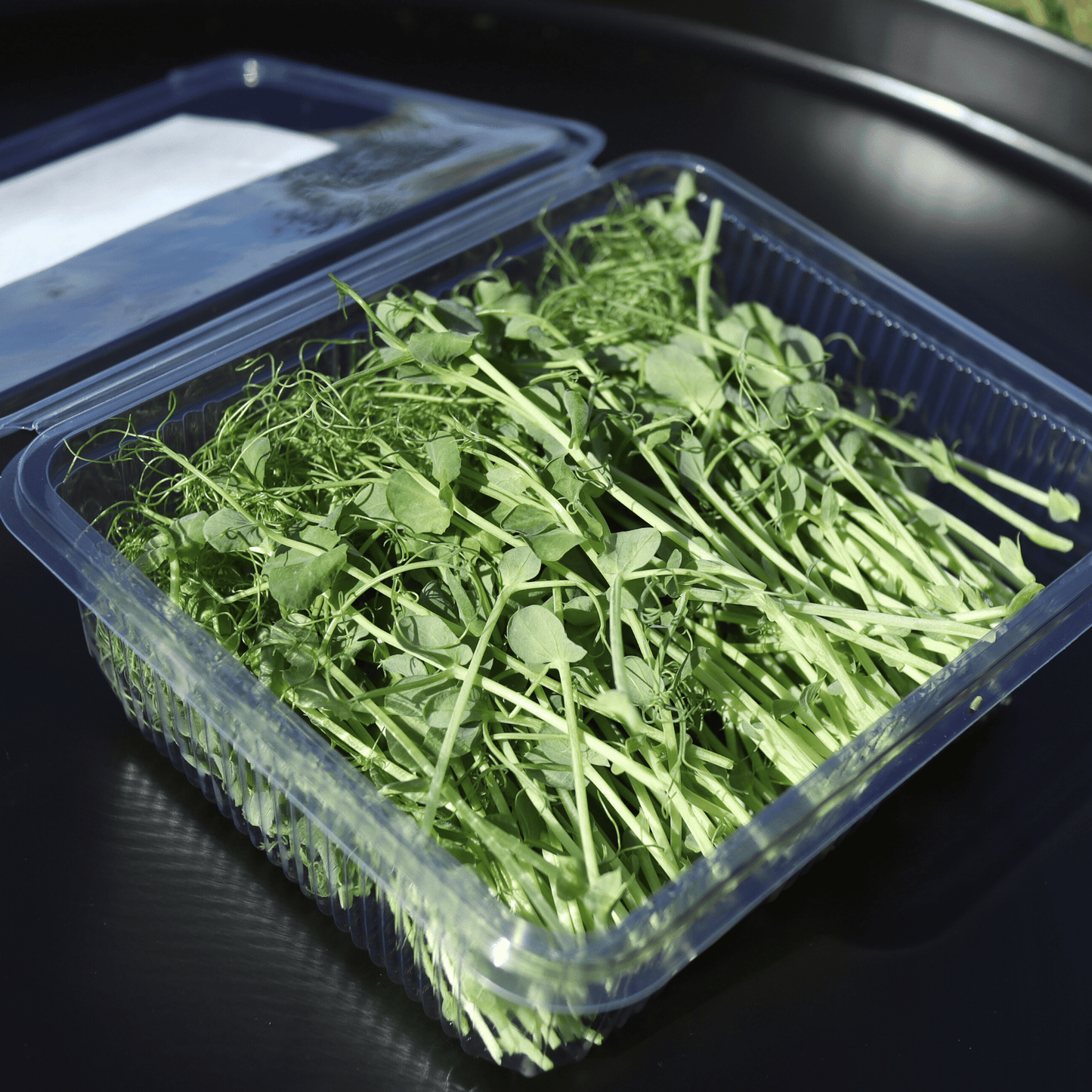 Pea Shoots - ONE-OFF PURCHASE