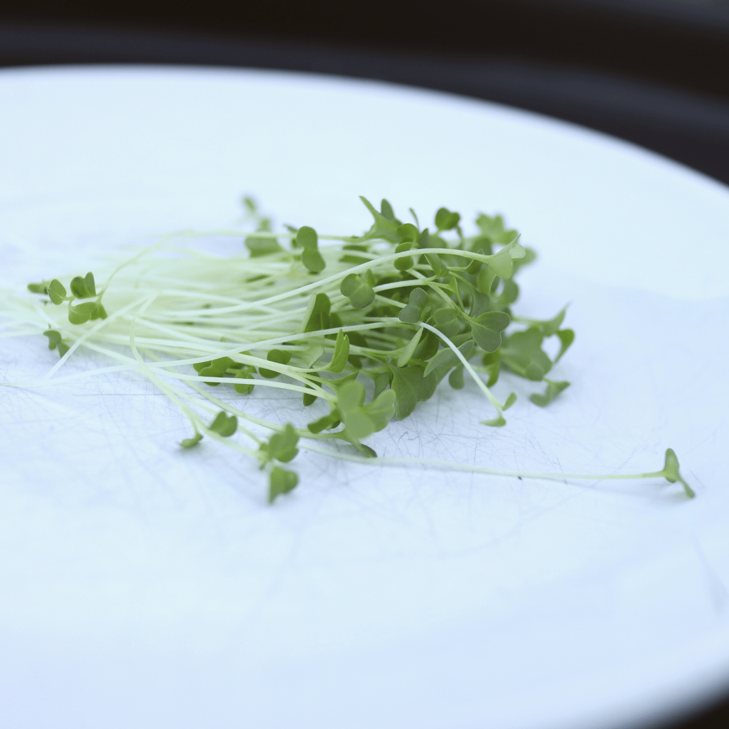 Broccoli Shoots - SUBSCRIPTION