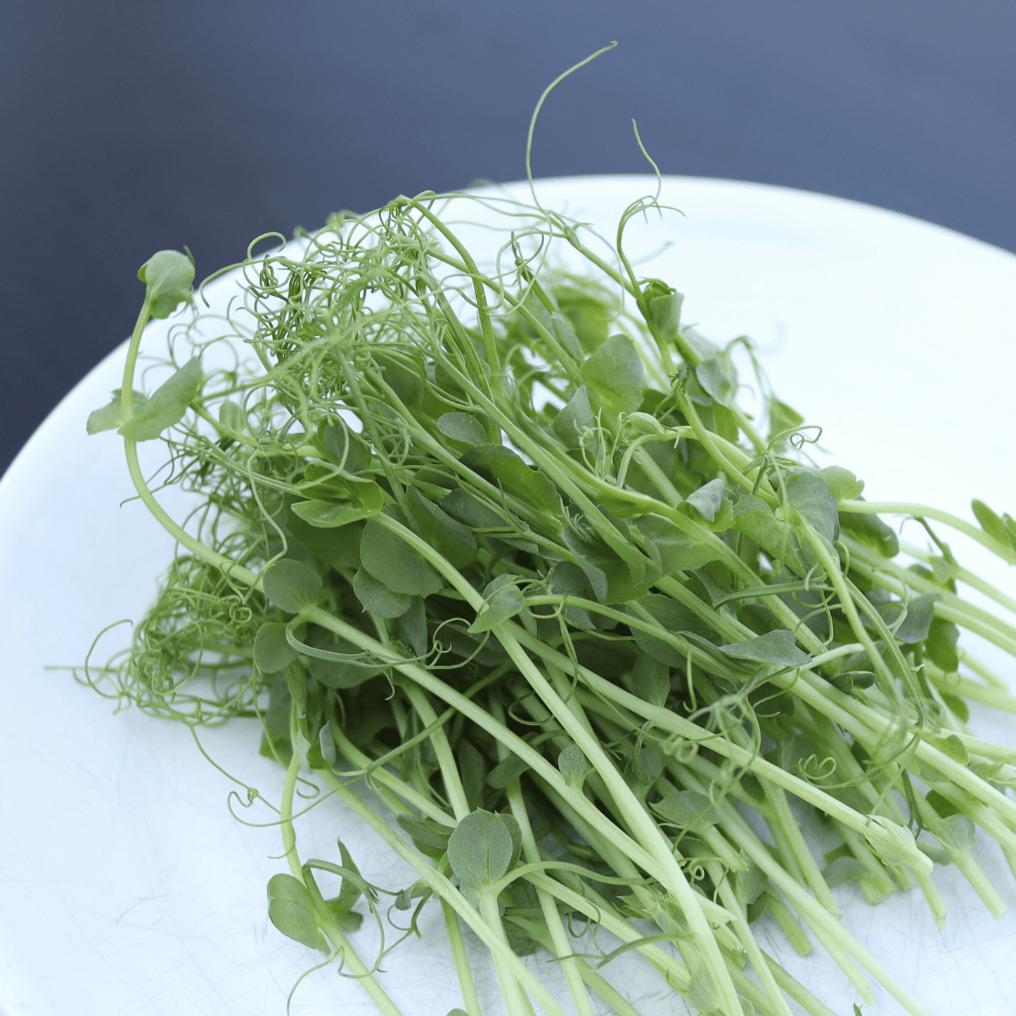 Pea Shoots - ONE-OFF PURCHASE