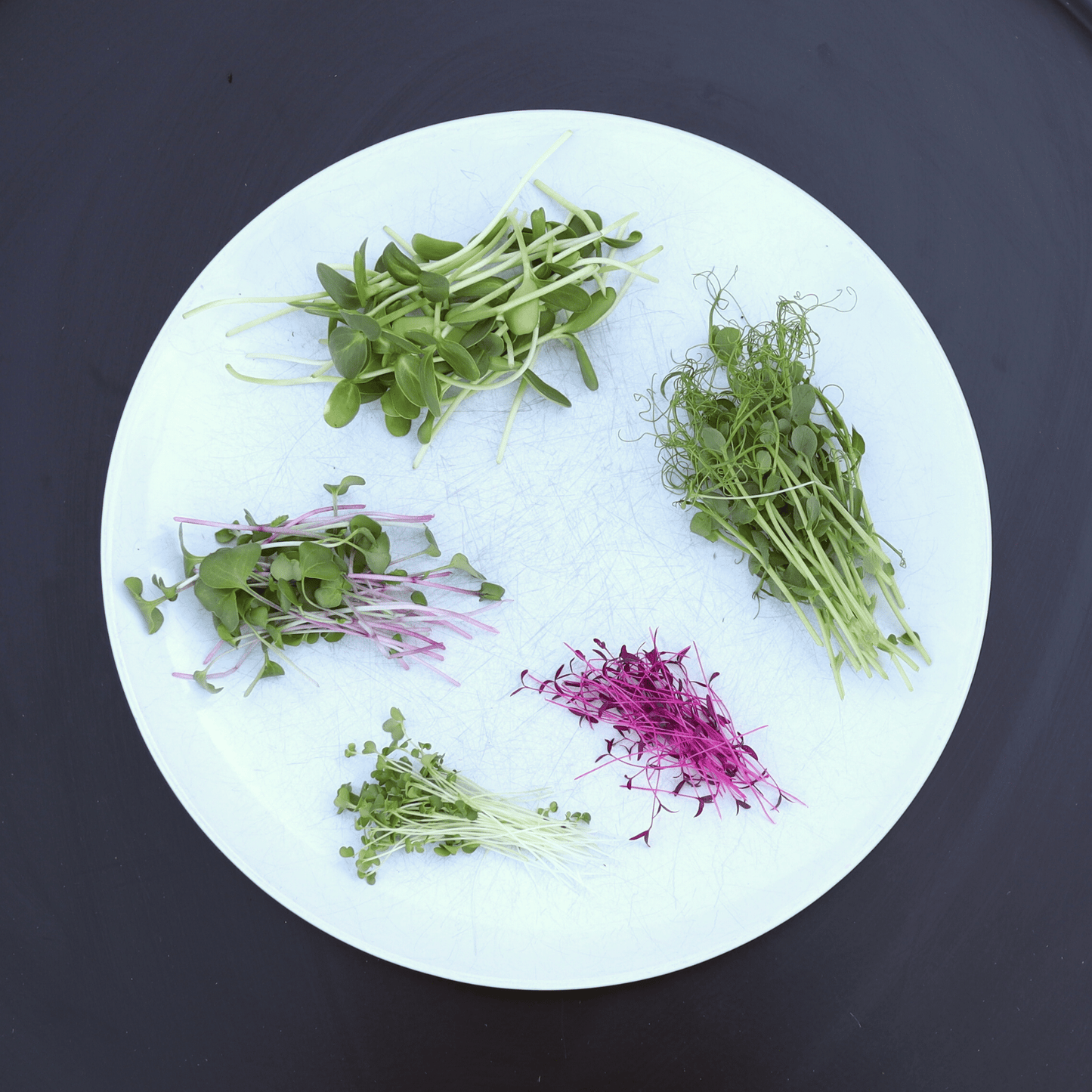 Perfect Everyday Micro Salad Mix - SUBSCRIPTION