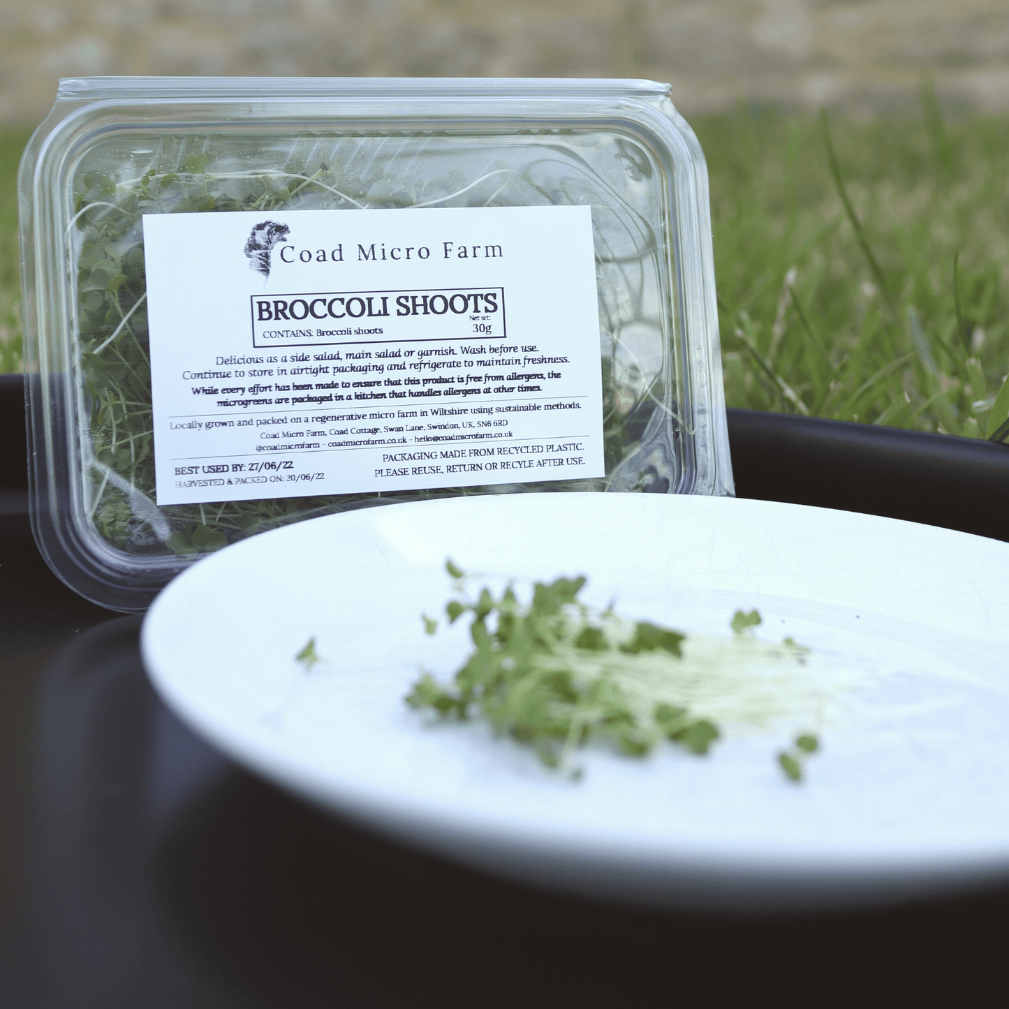 Broccoli Shoots - SUBSCRIPTION