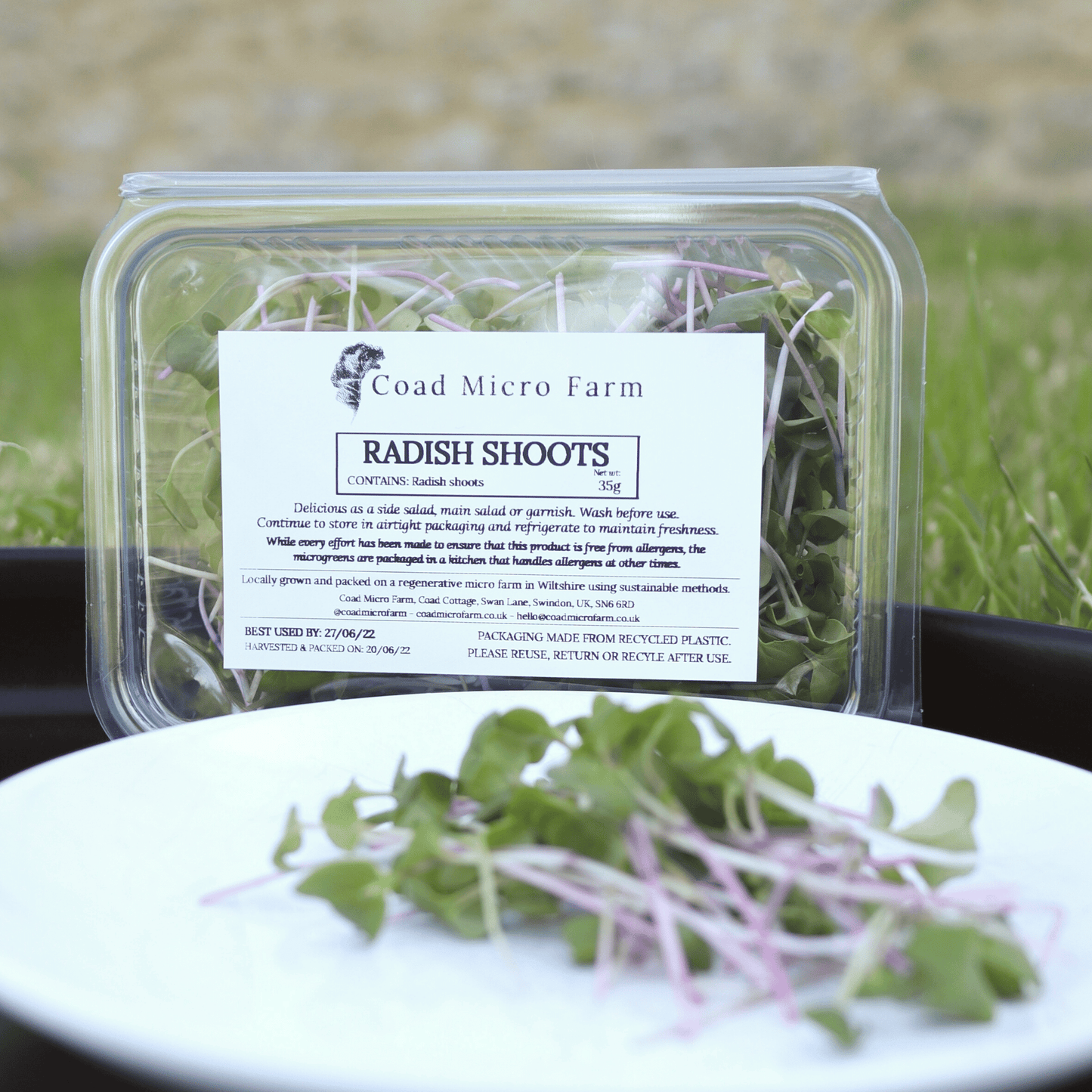 Radish Shoots - SUBSCRIPTION