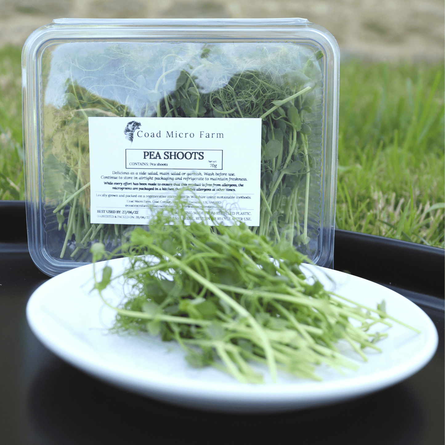 Pea Shoots - ONE-OFF PURCHASE