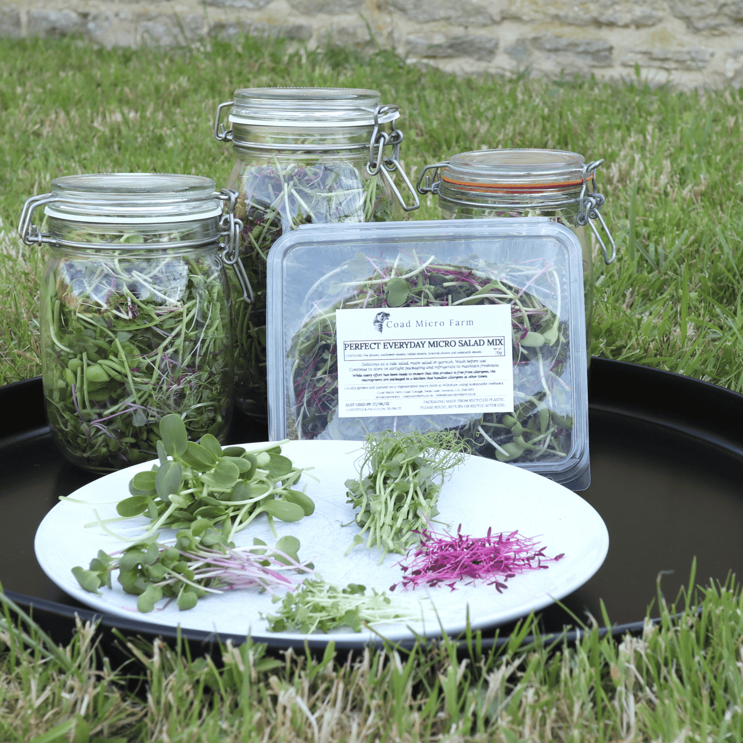 Perfect Everyday Micro Salad Mix - SUBSCRIPTION