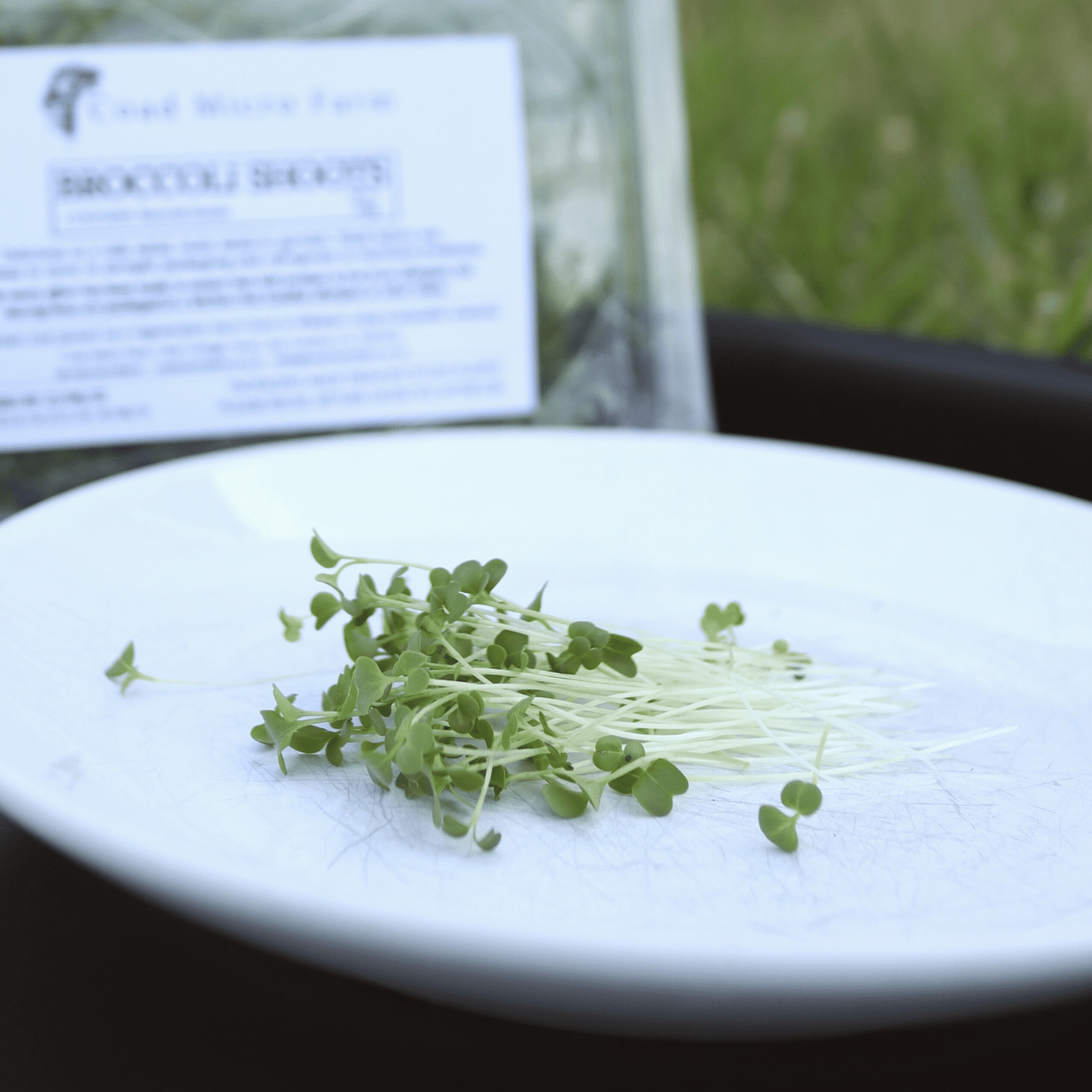 Broccoli Shoots - SUBSCRIPTION