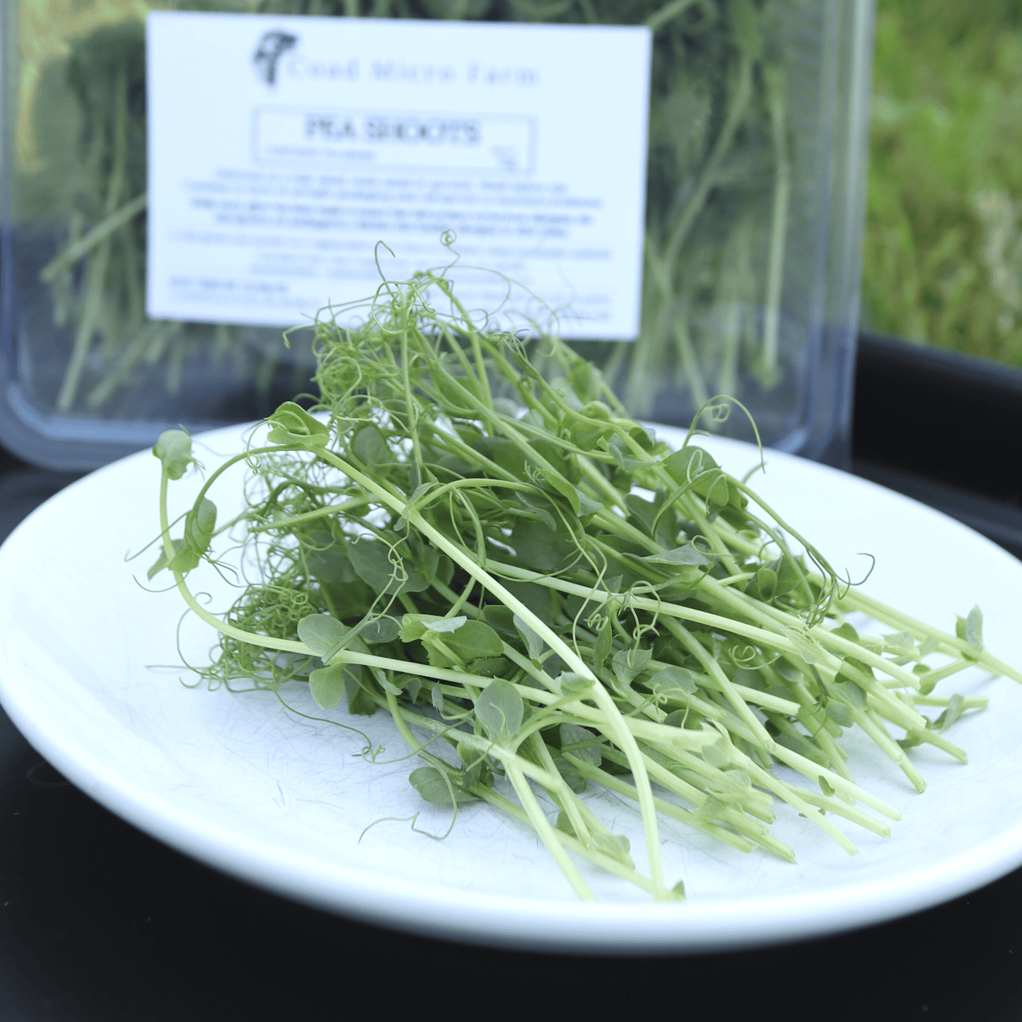 Pea Shoots - ONE-OFF PURCHASE