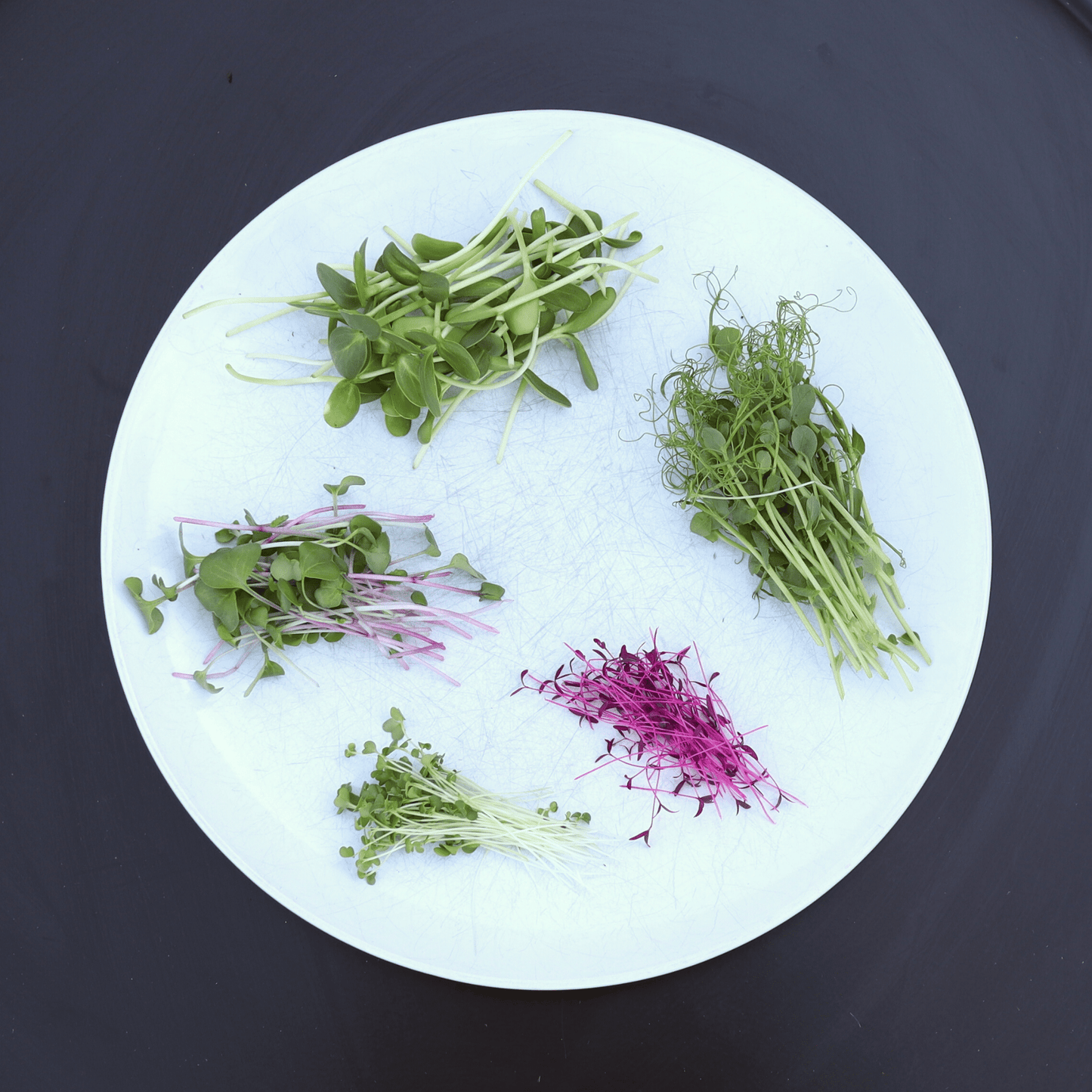 Perfect Everyday Micro Salad Mix - ONE-OFF PURCHASE