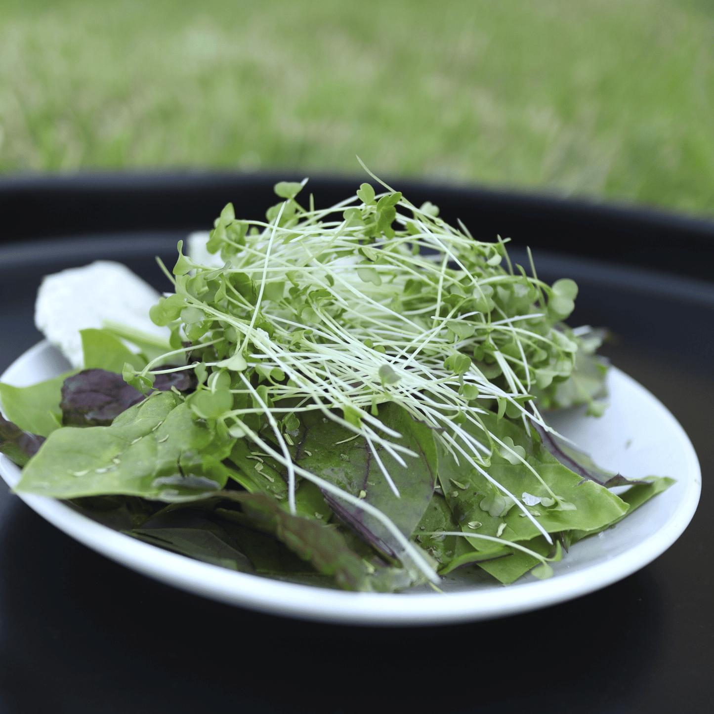Broccoli Shoots - SUBSCRIPTION