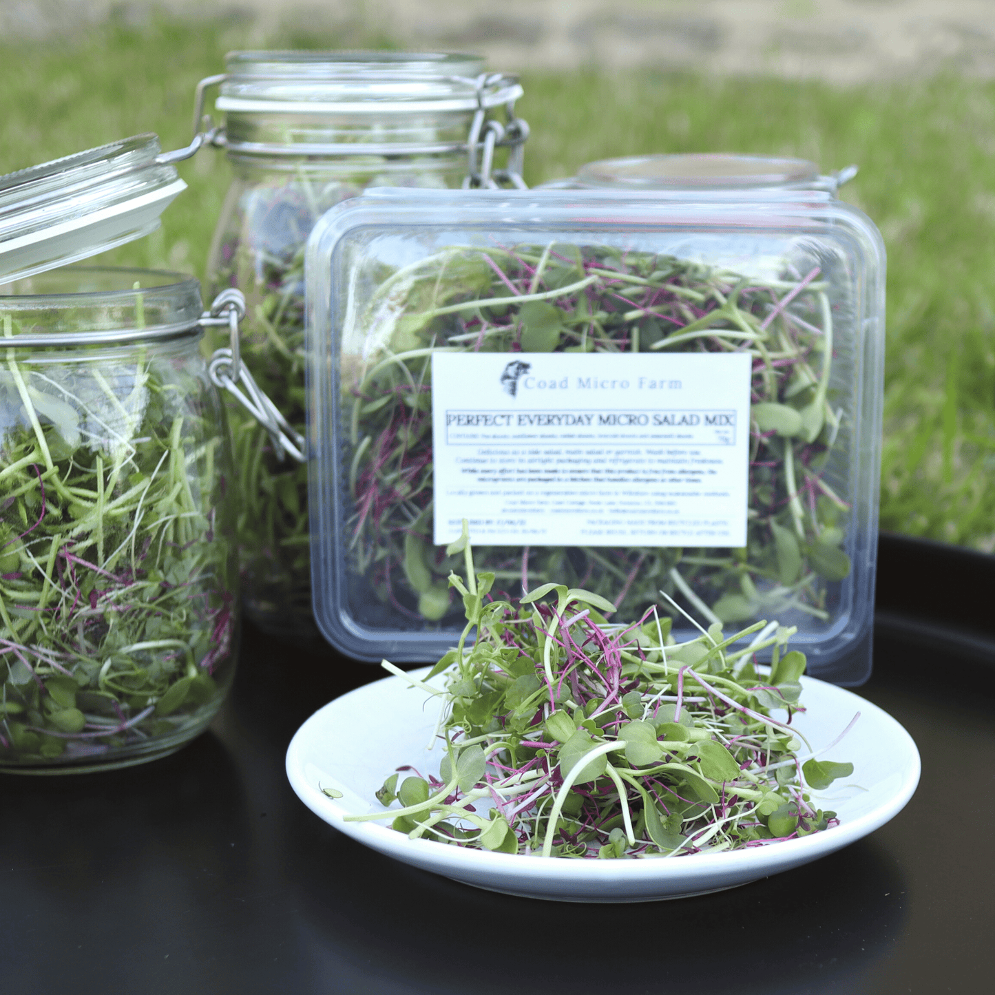 Perfect Everyday Micro Salad Mix - SUBSCRIPTION