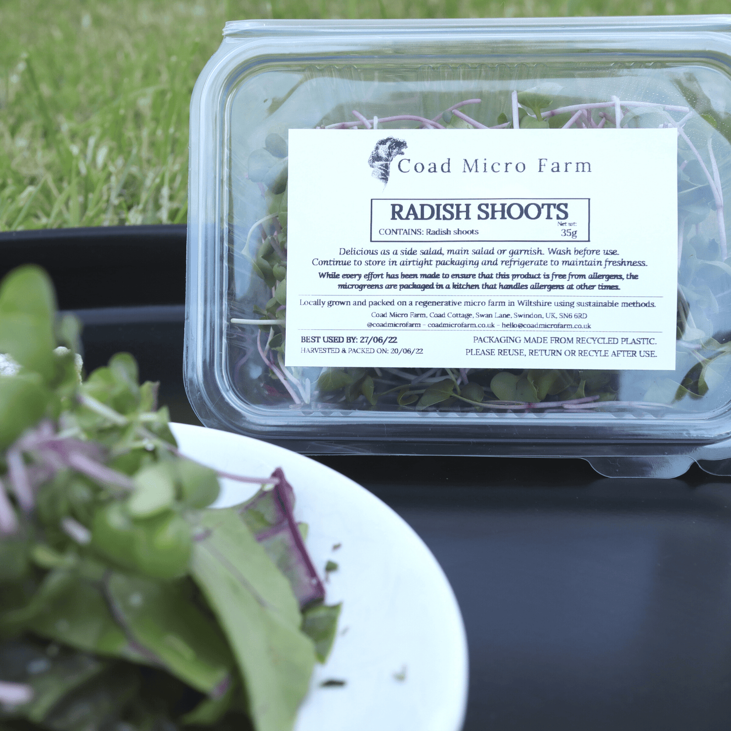 Radish Shoots - ONE-OFF PURCHASE