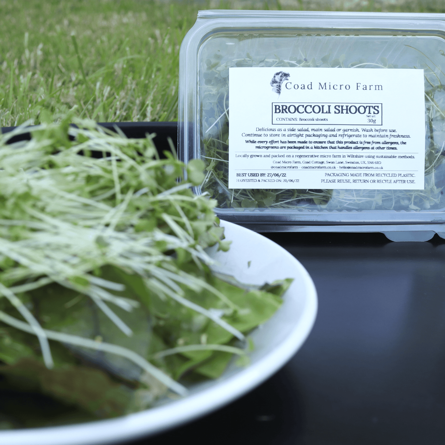 Broccoli Shoots - SUBSCRIPTION