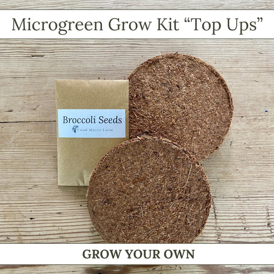 Microgreen Grow Kit "Top Up" Seeds and Compost