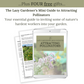 The Lazy Gardener's Guide to Growing Your Own