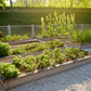The Lazy Gardener's Guide to Growing Your Own