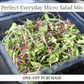 Perfect Everyday Micro Salad Mix - ONE-OFF PURCHASE