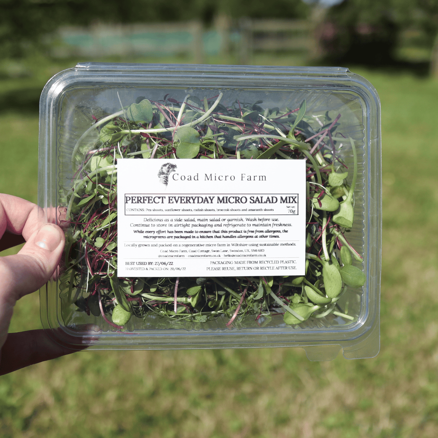 Perfect Everyday Micro Salad Mix - SUBSCRIPTION